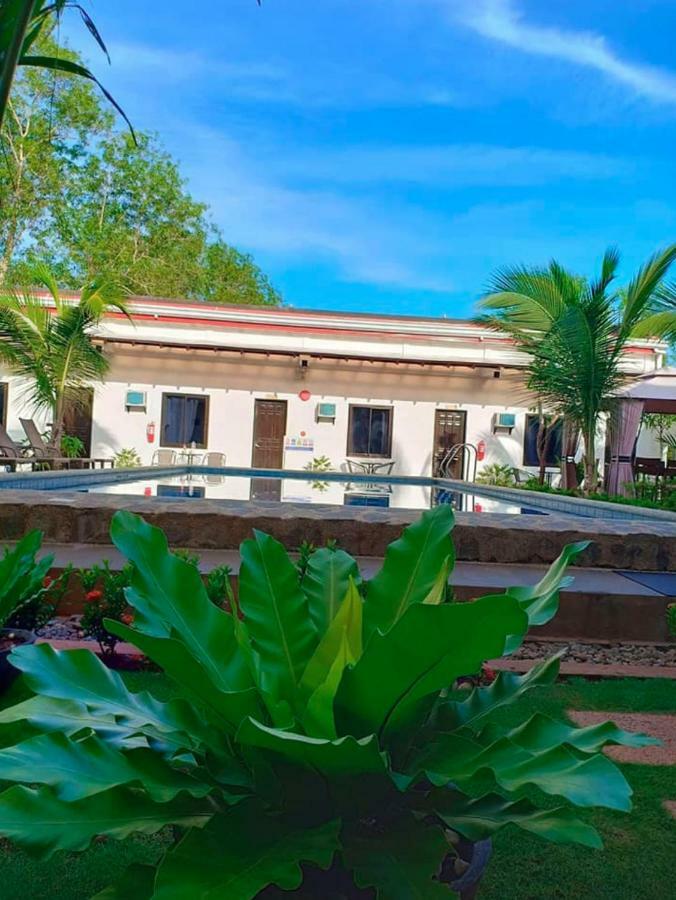 Palm Rise Resort Panglao Exterior photo
